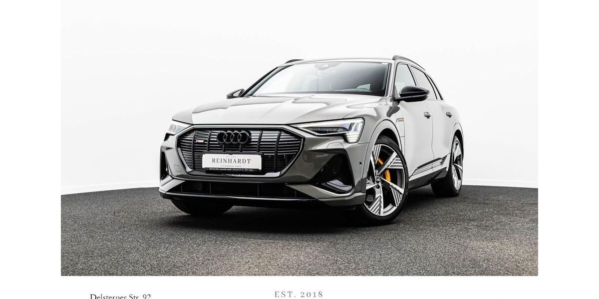 Audi e-tron 29.996 km 39.382 &euro; Hagen 58091
