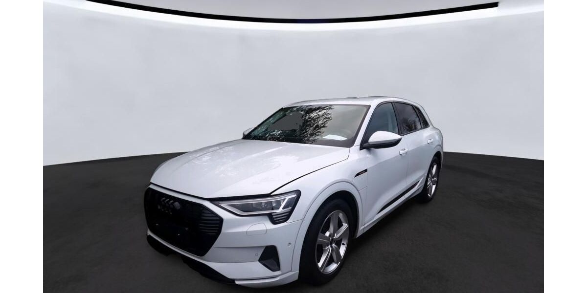 Audi e-tron 26.191 km 30.830 &euro; Hagen 58091