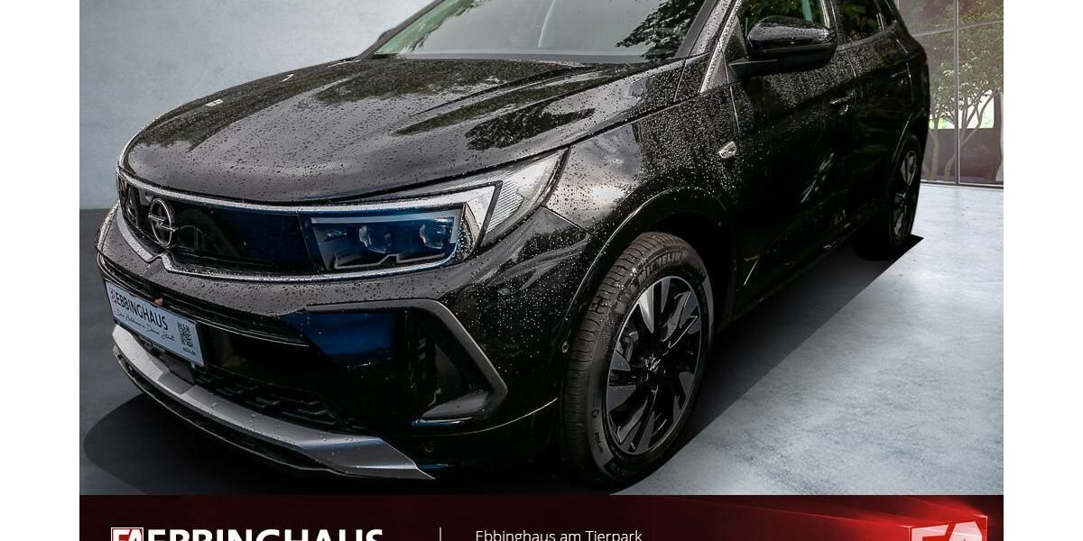 Opel Grandland (X) 45.419 km 20.499 &euro; Dortmund 44225
