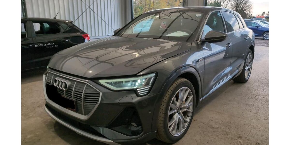 Audi e-tron 87.751 km 34.095 &euro; Hagen 58091