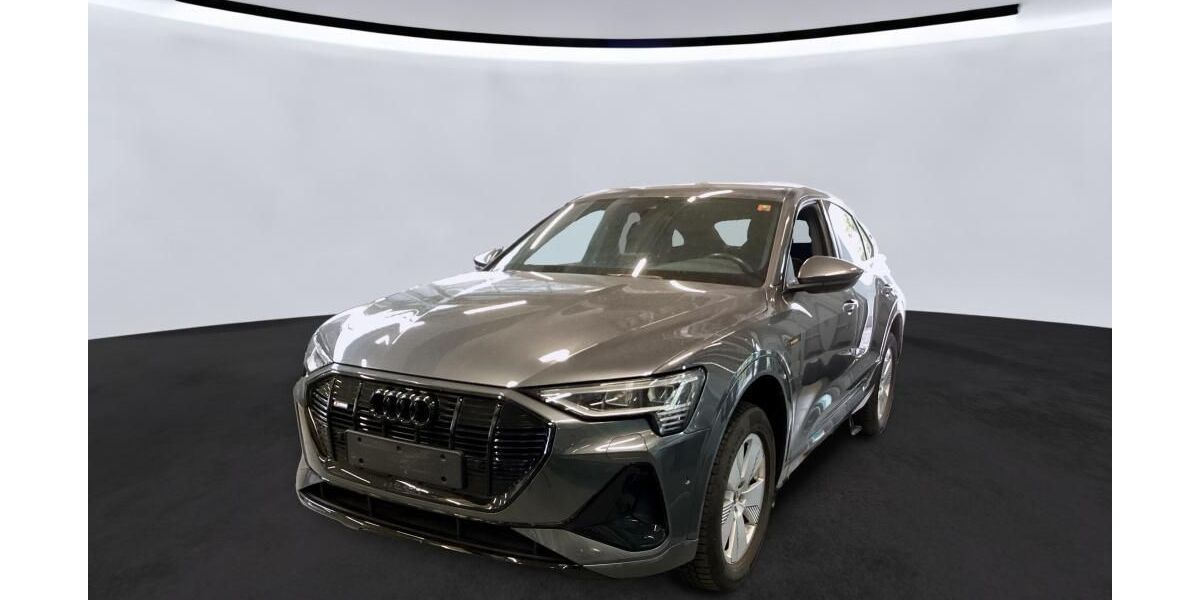 Audi e-tron 52.365 km 35.725 &euro; Hagen 58091