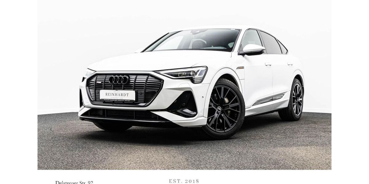 Audi e-tron 45.466 km 30.840 &euro; Hagen 58091
