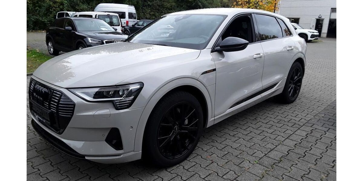 Audi e-tron 49.998 km 28.615 &euro; Hagen 58091
