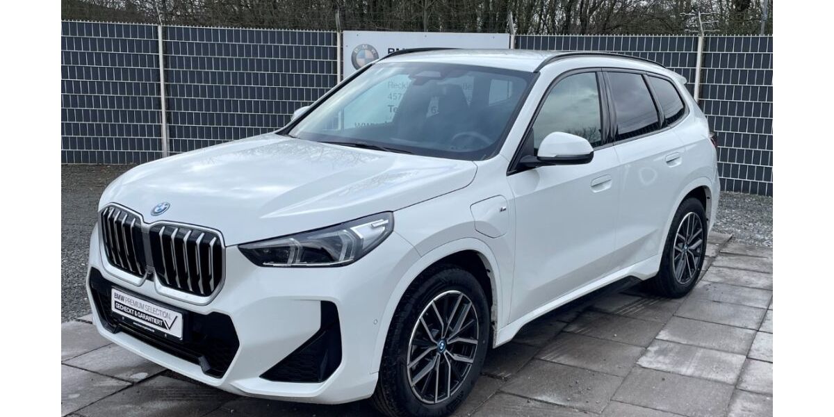 BMW X1 16.881 km 48.790 &euro; Haltern am See 45721