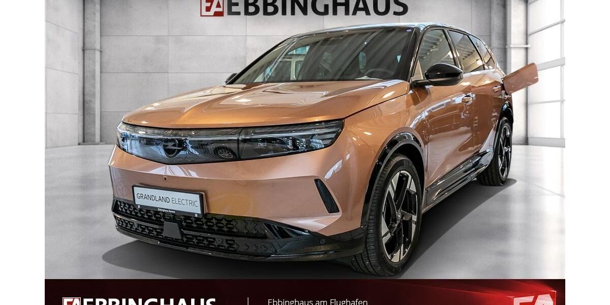 Opel Grandland (X) 4.001 km 40.999 &euro; Dortmund 44289