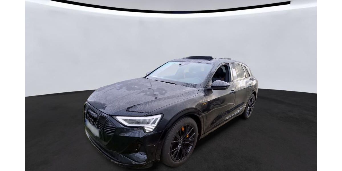 Audi e-tron 48.876 km 34.140 &euro; Hagen 58091