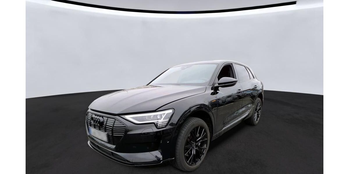 Audi e-tron 46.252 km 29.660 &euro; Hagen 58091