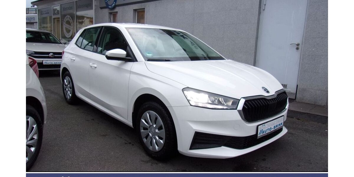 Skoda Fabia 25.750 km 13.875 &euro; Hagen 58089