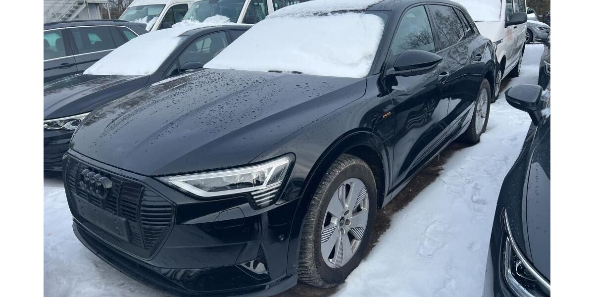 Audi e-tron 61.930 km 37.815 &euro; Hagen 58091