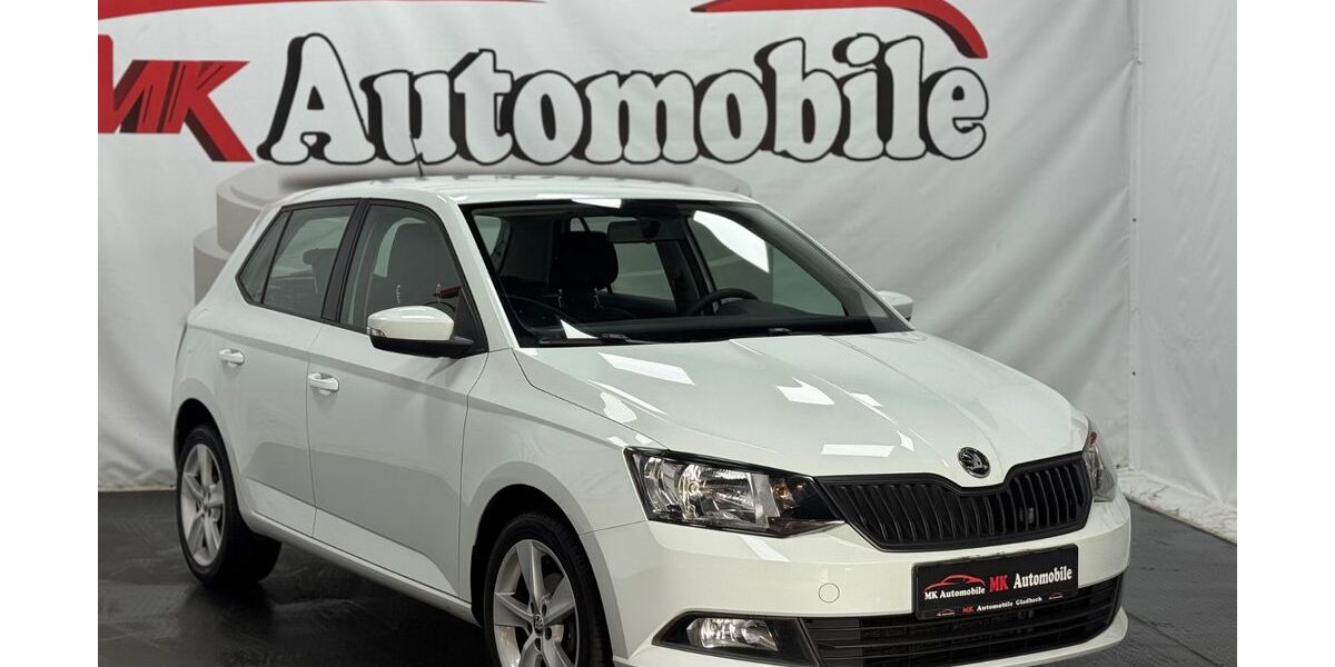 Skoda Fabia 49.900 km 9.990 &euro; Gladbeck 45968