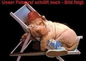 VW Touareg 48.600 km 68.950 &euro; Essen 45134