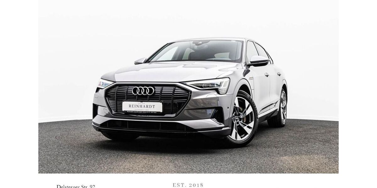 Audi e-tron 78.740 km 33.110 &euro; Hagen 58091