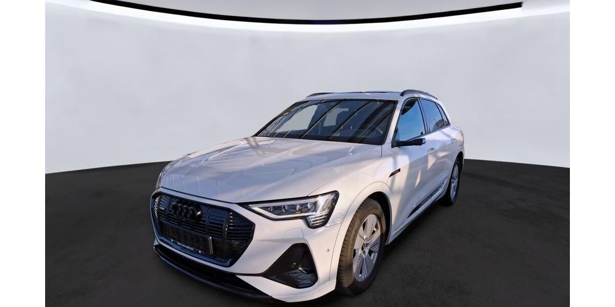 Audi e-tron 53.637 km 37.995 &euro; Hagen 58091