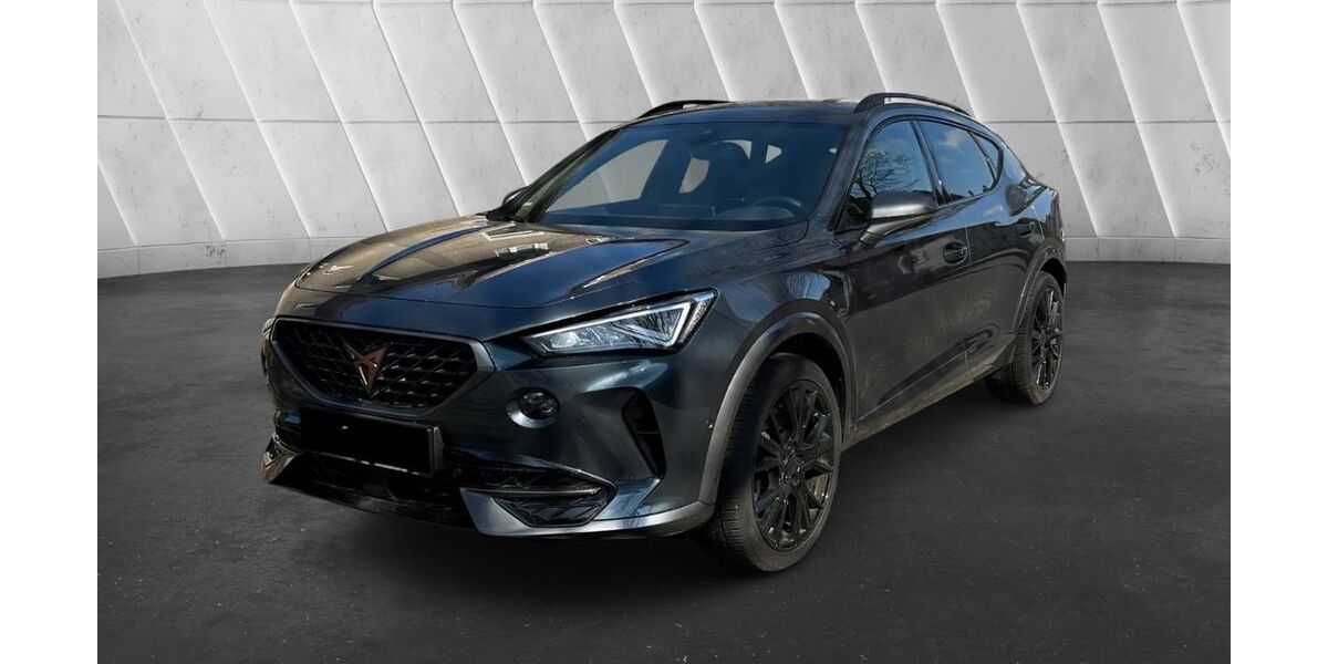 Cupra Formentor 38.000 km 29.750 &euro; Herten 45699